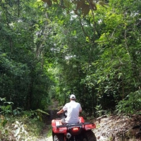 Off road and ATV