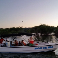 Sundown & Mangroves Boat Trip