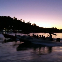 Sundown & Mangroves Boat Trip